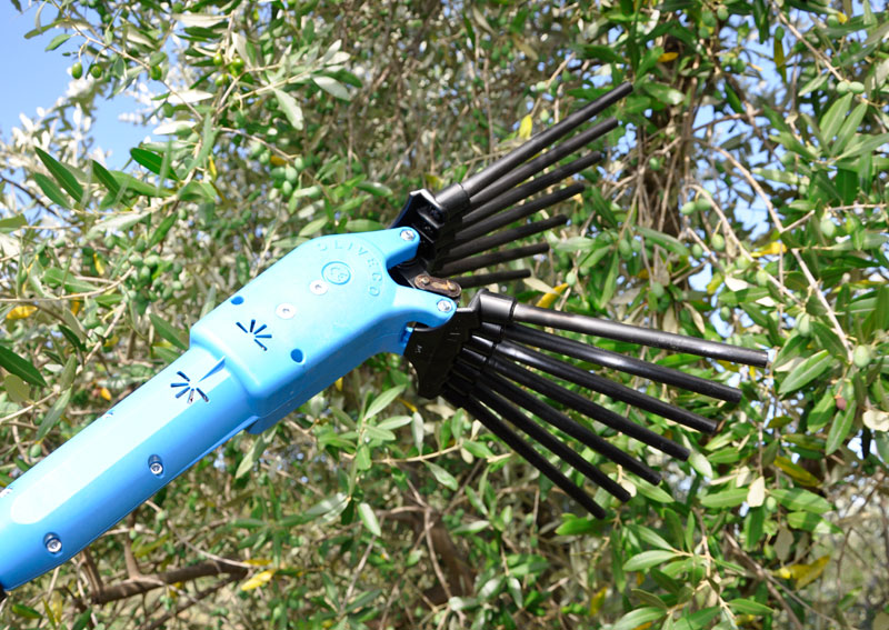 Baterijski tresač maslina Lisam Oliveco